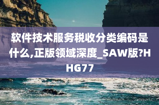 软件技术服务税收分类编码是什么,正版领域深度_SAW版?HHG77