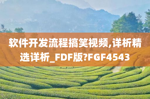 软件开发流程搞笑视频,详析精选详析_FDF版?FGF4543