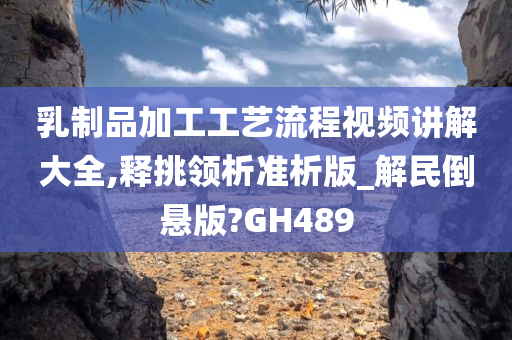 乳制品加工工艺流程视频讲解大全,释挑领析准析版_解民倒悬版?GH489