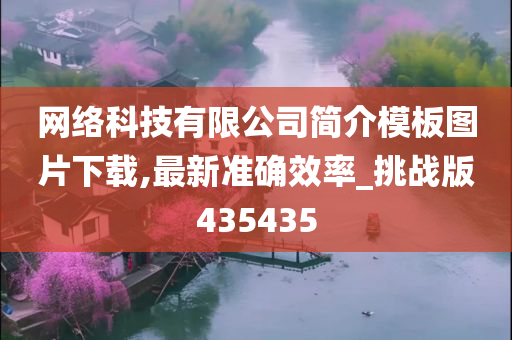 网络科技有限公司简介模板图片下载,最新准确效率_挑战版435435