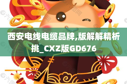 西安电线电缆品牌,版解解精析挑_CXZ版GD676