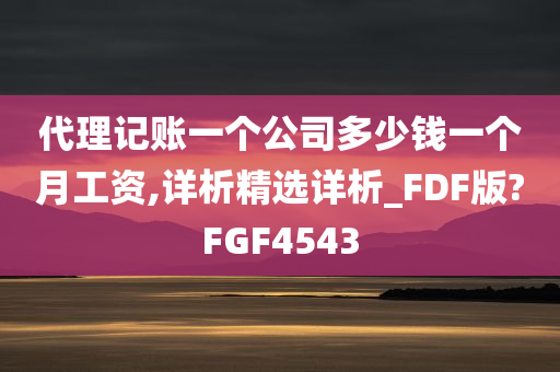 代理记账一个公司多少钱一个月工资,详析精选详析_FDF版?FGF4543