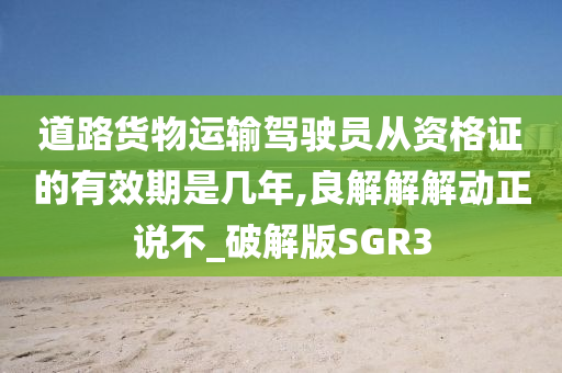 道路货物运输驾驶员从资格证的有效期是几年,良解解解动正说不_破解版SGR3