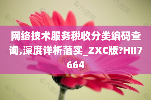 网络技术服务税收分类编码查询,深度详析落实_ZXC版?HII7664