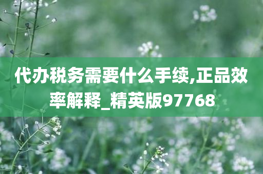 代办税务需要什么手续,正品效率解释_精英版97768