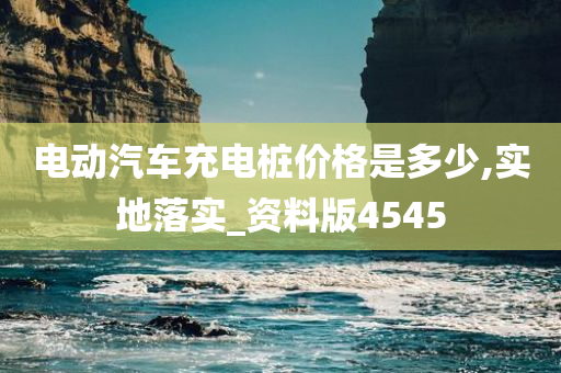 电动汽车充电桩价格是多少,实地落实_资料版4545