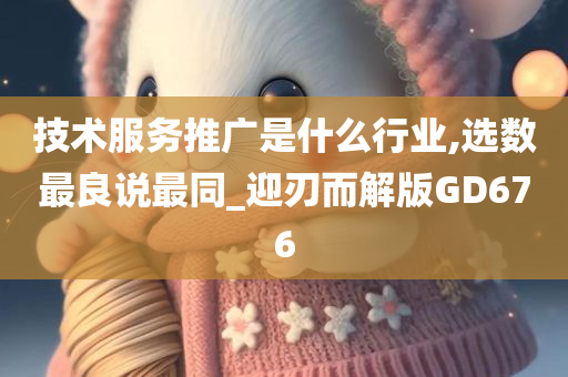 技术服务推广是什么行业,选数最良说最同_迎刃而解版GD676