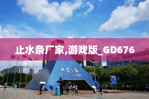 止水条厂家,游戏版_GD676