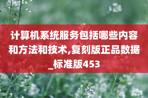 计算机系统服务包括哪些内容和方法和技术,复刻版正品数据_标准版453