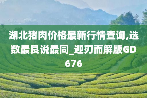 湖北猪肉价格最新行情查询,选数最良说最同_迎刃而解版GD676