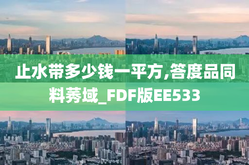 止水带多少钱一平方,答度品同料莠域_FDF版EE533