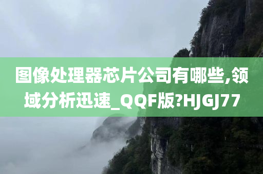 图像处理器芯片公司有哪些,领域分析迅速_QQF版?HJGJ77