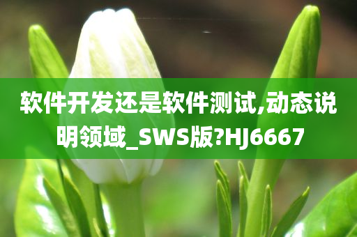 软件开发还是软件测试,动态说明领域_SWS版?HJ6667