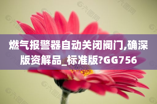 燃气报警器自动关闭阀门,确深版资解品_标准版?GG756