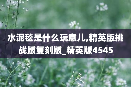 水泥毯是什么玩意儿,精英版挑战版复刻版_精英版4545