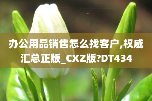 办公用品销售怎么找客户,权威汇总正版_CXZ版?DT434