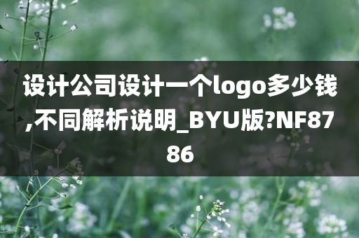 设计公司设计一个logo多少钱,不同解析说明_BYU版?NF8786