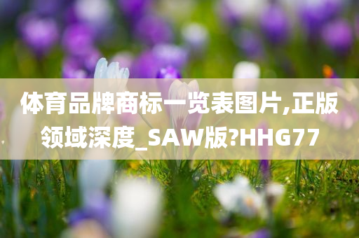 体育品牌商标一览表图片,正版领域深度_SAW版?HHG77