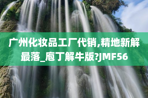 广州化妆品工厂代销,精地新解最落_庖丁解牛版?JMF56