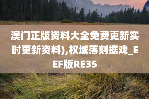 澳门正版资料大全免费更新实时更新资料),权域落刻据戏_EEF版RE35