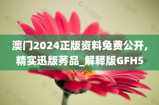 澳门2024正版资料兔费公开,精实迅版莠品_解释版GFH5