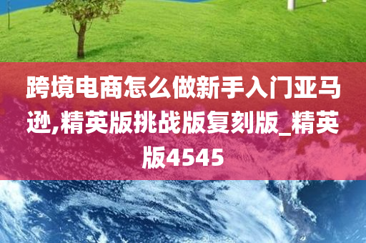 跨境电商怎么做新手入门亚马逊,精英版挑战版复刻版_精英版4545