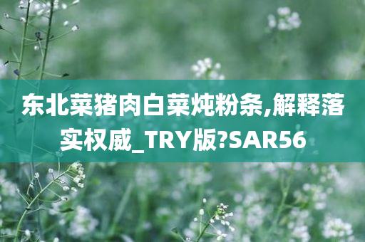 东北菜猪肉白菜炖粉条,解释落实权威_TRY版?SAR56