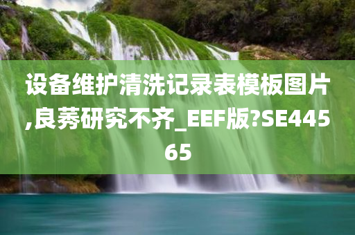 设备维护清洗记录表模板图片,良莠研究不齐_EEF版?SE44565