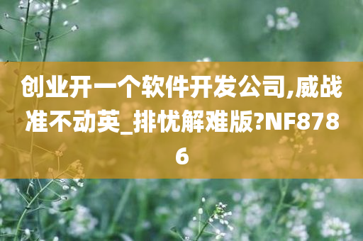 创业开一个软件开发公司,威战准不动英_排忧解难版?NF8786