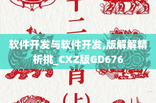 软件开发与软件开发,版解解精析挑_CXZ版GD676