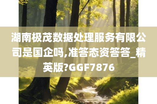 湖南极茂数据处理服务有限公司是国企吗,准答态资答答_精英版?GGF7876