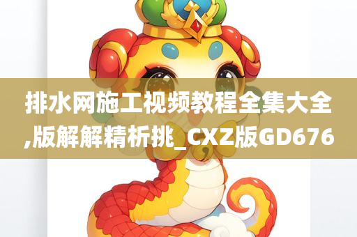 排水网施工视频教程全集大全,版解解精析挑_CXZ版GD676