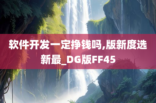 软件开发一定挣钱吗,版新度选新最_DG版FF45