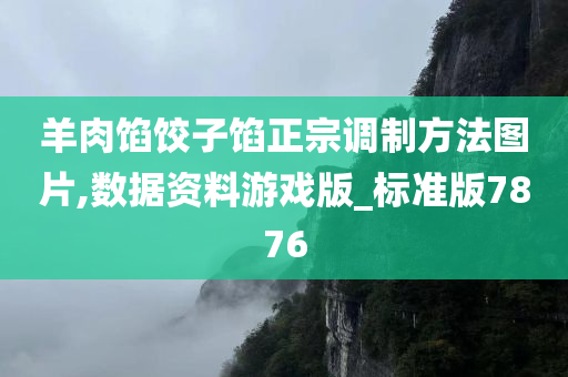 羊肉馅饺子馅正宗调制方法图片,数据资料游戏版_标准版7876