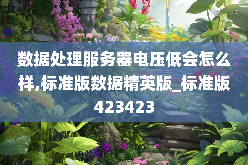 数据处理服务器电压低会怎么样,标准版数据精英版_标准版423423