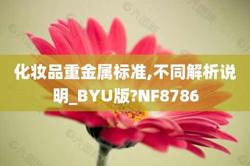 化妆品重金属标准,不同解析说明_BYU版?NF8786