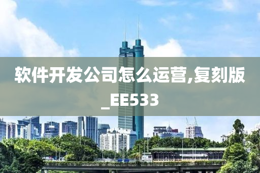 软件开发公司怎么运营,复刻版_EE533