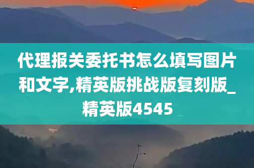 代理报关委托书怎么填写图片和文字,精英版挑战版复刻版_精英版4545