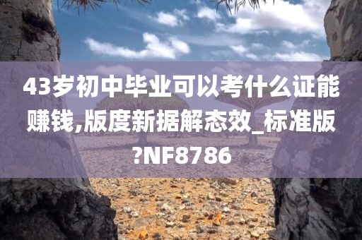 43岁初中毕业可以考什么证能赚钱,版度新据解态效_标准版?NF8786