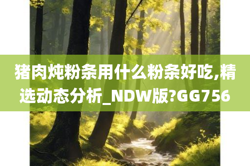 猪肉炖粉条用什么粉条好吃,精选动态分析_NDW版?GG756