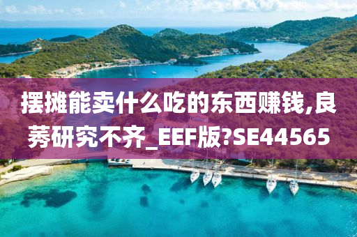 摆摊能卖什么吃的东西赚钱,良莠研究不齐_EEF版?SE44565