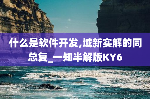 什么是软件开发,域新实解的同总复_一知半解版KY6