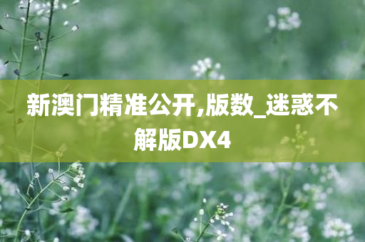 新澳门精准公开,版数_迷惑不解版DX4