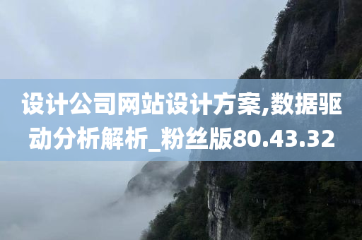 设计公司网站设计方案,数据驱动分析解析_粉丝版80.43.32