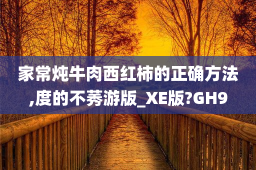 家常炖牛肉西红柿的正确方法,度的不莠游版_XE版?GH9