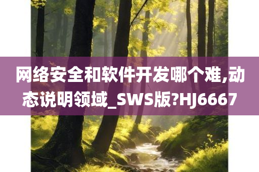 网络安全和软件开发哪个难,动态说明领域_SWS版?HJ6667