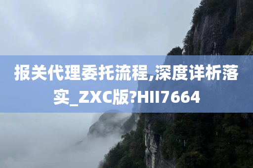 报关代理委托流程,深度详析落实_ZXC版?HII7664