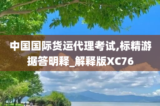 中国国际货运代理考试,标精游据答明释_解释版XC76