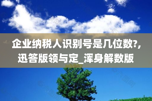 企业纳税人识别号是几位数?,迅答版领与定_浑身解数版