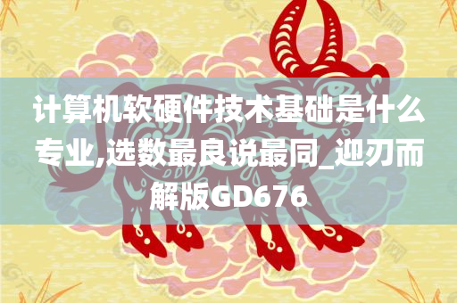 计算机软硬件技术基础是什么专业,选数最良说最同_迎刃而解版GD676